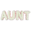 The image shows a heartfelt funeral flower display that spells out AUNT in large, freestanding capital letters, each one completely covered in soft white chrysanthemums. The blooms are packed closely together, their delicate petals layering over each other to form a smooth, cloud-like surface across every letter. Small touches of pale yellow at the flower centres subtly punctuate the white, giving the arrangement a natural, fresh look that feels comforting and alive. Surrounding the edge of each letter is a softly ruffled pastel pink satin ribbon, carefully pinned in place so it follows the bold outlines and adds a gentle frame of colour. The blush-pink border brings a tender, feminine touch to the tribute, suggesting warmth, affection, and cherished memories of an aunt who meant a great deal. The letters are mounted neatly along a concealed frame, evenly spaced and firmly upright, as you might see them arranged beside a coffin, in the back of a hearse, or at the head of the chapel. The background is clean and bright, and balanced lighting ensures that the texture of every petal and the sheen of the satin ribbon are clearly visible. The overall impression is calm, respectful, and deeply personal-an ideal choice for a service in Highgate, perhaps after a quiet moment in nearby Waterlow Park or a reflective walk through the surrounding streets. This AUNT chrysanthemum tribute becomes a graceful floral message, helping family and friends express love, loss, and remembrance as they gather to say goodbye.