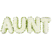 The photograph shows a composed funeral flower tribute spelling the word AUNT in four strong, upright letters, each one entirely covered in spotless white chrysanthemums. The blooms are set so closely together that their rounded heads meld into a single, cushiony surface, with thousands of tiny petals overlapping to create a gentle, snowy texture. Around the outside of every letter runs a slim border of fresh green foliage or ribbon, tracing the shapes with a clear, continuous line. This touch of green provides a natural frame that makes the white chrysanthemums appear even brighter, helping the letters stand out clearly against the clean white background. The spacing and alignment are precise, giving the whole arrangement a sense of calm balance and thoughtful intention, as you might expect from Flowers Highgate when creating a bespoke funeral tribute for a local family. The lighting is soft and even, casting no harsh shadows and allowing the serene white and green tones to dominate the scene. It is easy to picture this AUNT tribute placed respectfully at a memorial service near Highgate Wood or along one of the quiet lanes leading to Highgate Cemetery, the flowers freshly delivered that same morning. The white chrysanthemums convey messages of purity, remembrance, and peaceful farewell, while the fresh green edging hints at the leafy character of the surrounding neighbourhood. Altogether, the design feels gentle, dignified, and loving-a floral expression chosen to honour an aunt who held a special place in the family's heart and to bring a moment of beauty and comfort amid grief.