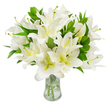 A lush, thoughtfully gathered bouquet of pure white lilies fills the frame, the blooms arranged with quiet generosity in a clear glass vase set against a flawless white backdrop. Each trumpet-shaped flower opens into six smooth, satiny petals that glow a brilliant, luminous white; many show a whisper of creamy yellow or pale green at their throats, a soft warmth that draws the eye inward. From several blossoms long, pale greenish-yellow filaments extend, topped by rich, earthy brown anthers dusted with fine pollen, lending delicate texture and a natural, slightly rustic detail to the otherwise immaculate composition. Deep, lance-shaped leaves in a glossy, verdant green weave through the flowers, their pointed tips and broad blades creating a lively contrast and giving the arrangement a full, secure silhouette. The vase is classically simple: transparent glass with a gently flared neck and a sturdy base, the clear water inside catching and refracting light so that the pale green stems appear luminous as they descend. The visual effect is one of calm and refinement - the lilies seem to breathe serenity into the room, their scent imagined as a soft, sweet hush rather than an overpowering perfume. This bouquet reads as both an elegant centrepiece and a tender token of remembrance, the kind of arrangement visitors in Highgate might bring to a quiet gathering at a neighbour's home or leave as a thoughtful tribute near Highgate Cemetery or the village pond. The overall mood is peaceful, composed, and consoling - a floral expression of purity, repose, and gentle reassurance.