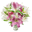 A luminous, artfully composed bouquet of oriental lilies fills the frame: a generous mix of creamy white and deep fuchsia blooms that read like a quiet celebration. The composition is full and rounded, many lilies opening into broad trumpet and star-shaped faces that display soft, silky petals and prominent stamens with delicate anthers. The white flowers are a warm, creamy off-white with faint yellow-green at their throats, while the pink-to-magenta lilies show velvety petals often marked with paler veins or a creamy center that gives each blossom depth and a sculptural quality. Several buds remain elegantly furled, promising more blooms in the coming days and underlining the arrangement's freshness. Dark green, lance-shaped leaves thread through the bouquet, their glossy texture and pointed forms framing the petals and lending a garden-fresh contrast. The stems are gathered in a simple clear glass vase visible at the bottom centre; the transparency reveals neatly trimmed stems submerged in clean water, a small but honest sign of professional care. Bright, even studio lighting bathes the scene, lifting petal textures and color saturation without harsh shadows, so the lilies appear radiant and tactile. There is an implied soft perfume - an invigorating, lightly sweet scent that conjures spring mornings. As a local florist's composition, this bouquet suggests both refined occasion work and domestic warmth: an ideal choice for birthdays, anniversaries, or quiet moments of appreciation. Imagine receiving this arrangement after a walk through Highgate Village or as a thoughtful gift following an afternoon in nearby Waterlow Park - floral comfort that reads as both celebratory and intimately familiar.