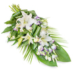 A sophisticated funeral floral spray in white and green, with faint notes of lavender, is presented against a bright white background that brings every curve and contour into focus. The design runs diagonally, fuller at one end where the stems gather, then gradually narrowing to a tapered, pointed finish. Dominating the upper section are white oriental lilies, some fully opened into wide, star-shaped blooms that show off their creamy petals and soft yellow-green stamens, while others remain closed in elongated, gently ridged buds that add height and promise future blossoms. Threaded delicately around these lilies are white lisianthus flowers, their fine, layered petals curling slightly at the edges and traced with the lightest wash of lavender, giving a whisper of colour that suggests twilight over the trees of Waterlow Park. Numerous lisianthus buds and emerging flowers punctuate the greenery, offering intricate detail and depth. Beneath the blooms, a bed of foliage provides structure and contrast: broad, glossy dark leaves form the base, some arranged flat, others folded or rolled into smooth, sculptural shapes that suggest careful, practiced hands. Long, slender palm fronds stretch outward from one side, emphasising the elongated silhouette and adding a feeling of natural movement. The overall composition conveys serenity, respect, and remembrance, as if prepared for a farewell gathering near Highgate Village or a solemn ceremony at a local chapel. Crafted with sensitivity, it feels like a floral gesture that speaks softly when words are hard to find, bringing a sense of peace to those paying their last respects.