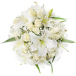 Viewed from directly above against a clean white backdrop, this round bouquet reads as a study in quiet elegance: large, trumpet-shaped white lilies unfurl with wide, glossy petals and pale green stamens at their centers, set amid clusters of creamy ivory roses that range from tight buds to gently opening blooms. Tiny white sprays of Baby's Breath (Gypsophila) drift through the composition like soft snow, filling the gaps and lending a delicate, cloud-like airiness to the dense, symmetrical dome. A few bright green leaves peek from beneath the flowers around the perimeter, their fresh sheen giving just enough contrast to define the bouquet's circular silhouette. The lighting is soft and even, bringing out the satiny texture of the rose petals and the subtle veins in each lily petal while preserving the overall purity of the white and cream tones.
As a local florist's composition, the arrangement conveys a calm, ceremonial mood - equally suited to a bridal posy, a refined centerpiece, or a heartfelt gift for anniversaries or baptisms. One can almost sense a faint, sweet fragrance of lilies mingling with the deeper, powdery scent of roses; the Baby's Breath contributes a whisper of meadow-like freshness. Experienced hands are visible in the balanced placement and tightly packed form, designed to read well from every angle. For residents around Highgate Village, Hampstead Heath, and the Pond, this bouquet captures the understated sophistication many choose for intimate celebrations and moments of quiet reverence, reflecting both craftsmanship and a thoughtful, local sensibility.