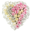The photograph captures a graceful heart-shaped funeral tribute composed entirely of roses and baby's breath, displayed against a brilliantly white background. The heart is full and clearly defined, divided straight down the middle into two balanced halves that together create a gentle, comforting presence. On the left, dozens of creamy white and pale ivory-to-yellow roses crowd together, their petals soft and rounded, overlapping in gentle spirals that suggest tranquillity and reverence. Each bloom appears fresh and carefully placed, forming a plush, almost cushion-like surface. On the right, the same careful craftsmanship is evident in a matching spread of medium pink roses, their hue quietly warm and soothing. The petals curl inward and outward in natural, organic shapes, adding subtle variation and life to the arrangement, like a soft echo of the natural beauty found around Highgate's gardens and historic cemetery. Filling the tiny spaces between the roses and running as a delicate frame around the outer contour of the heart is a generous layer of white gypsophila. These tiny star-like flowers lend an airy, lace-like texture, softening both the central dividing line and the border, and giving the impression that the heart rests on a cloud. There are no leaves, stems, or additional colours to distract from the central message. The result is a calm, understated design that would sit beautifully beside a coffin or memorial table in Highgate, quietly honouring a life with a blend of soft colour, thoughtful structure, and the timeless symbolism of roses.