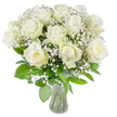 A luminous, full bouquet of pure white roses fills the frame, each bloom opened wide to reveal velvety, satin-soft petals and a hint of creamy yellow nestled in the tight centres. About a dozen large roses cluster together, their spiralled faces turning gently outward as if cupped by light. Interlaced between them are airy sprays of baby's breath (Gypsophila paniculata), tiny clustered blossoms that float like morning mist and give the arrangement a cloud-like softness. Beneath and between the blooms, rich green foliage of varying shapes fans out, creating depth and a fresh contrast that makes the whites read as almost luminous. The stems are neatly gathered into a simple, slightly flared clear glass vase visible at the bottom centre of the image; through the transparent glass you can see the trimmed green stems submerged in water, crisply arranged and clean. Bright, even lighting washes the scene, lifting subtle shadows and emphasising the pristine texture of each petal and the delicate structure of the gypsophila. The overall impression is one of serene elegance - a bouquet that speaks quietly of purity, comfort and new beginnings. I imagine it lending calm to a wedding table by Highgate's Waterlow Park or offering gentle support when sent to a bedside in the village; its scent is soft and creamy, the tactile promise of satin petals under fingertips. Crafted with the quiet restraint that suits sympathy, anniversary, or refined home décor, this arrangement radiates clarity and thoughtful care without ostentation.