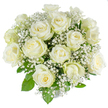 Cradled in soft studio light against a pristine white backdrop, this hand-tied bouquet is a study in quiet elegance: roughly two dozen freshly opened white roses form a dense, dome-like cluster, each bloom revealing a creamy, tightly furled heart that opens into broader, crisp white outer petals. The classic spiral centers of the roses are visible and immaculate, their velvety texture catching the light so that the petals glow with a faint ivory sheen. Interwoven like clouds through and around the roses are airy sprays of baby's breath (Gypsophila), their minute star-like blooms lending a frothy, lace-like softness that offsets the roses' substantial form. Deep green, glossy foliage peeks through at intervals, providing subtle structure and a cool tonal contrast to the pure whites. There is a delicate, garden-fresh scent suggested by the composition-clean, faintly sweet, and quietly reassuring. The overall silhouette remains tightly rounded and intentionally compact, an arrangement that reads as both traditional and tender. Emotionally, the bouquet conveys purity, calm, and reverent beauty, equally at home in a wedding morning, a christening, an anniversary, or as a consoling sympathy tribute. For people in and around Highgate, this arrangement evokes the gentle serenity of Waterlow Park and the understated grace of Highgate Village-a floral choice that values restraint and heartfelt simplicity when expressing fresh beginnings or respectful remembrance.