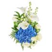 A portrait of serene elegance: a vertically presented bouquet photographed against a pure white background, where cool and calming tones meet refined texture. Dominating the composition is a dense, rounded dome of deep blue hydrangea-hundreds of tiny, velvety florets packed together to create a plush, almost cloud-like focal point in an intense cornflower-blue. Rising gently above and around this blue heart are three sculptural white calla lilies, their smooth, waxy trumpets curving like porcelain and revealing slender yellow spadices that draw the eye. Scattered through the arrangement, creamy white roses open in classic, full-petaled spirals, their soft, familiar form adding warmth and timelessness. Vertical sprays of pale white stock lend height and an airy rhythm, with tight clusters of small blossoms that catch the light and create a whisper of movement. The bouquet is grounded by an assortment of lush greenery: broad, glossy leaves that provide deep contrast and sculptural weight, alongside feathery leatherleaf fern fronds that introduce a delicate, lace-like texture. Soft, natural lighting in the image makes the whites glow gently while keeping the blues crisp and fresh, and the overall scent you imagine is clean and subtly sweet. The emotional tone is one of quiet dignity and comfort-a composition that feels appropriate for offering sympathy, marking a meaningful anniversary, or simply expressing sincere admiration. As a local Highgate design, this arrangement recalls the calm of nearby Waterlow Park on a clear morning, where soft breezes and dignified trees lend a similar sense of repose and care.