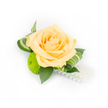 A single, handcrafted corsage or boutonniere is photographed against a pristine white background, its details captured in clear, bright light. At the centre sits a full, softly ruffled rose in a pale peach-to-apricot tone, its inner petals a touch deeper with a gentle, velvety curl that suggests both freshness and careful timing of harvest. Nestled to the lower left is a vivid lime-green button chrysanthemum, its tiny florets packed into a compact, cushion-like sphere that contrasts in both colour and texture with the rose. Deep green ruscus leaves form a sturdy, glossy backdrop, while slender, variegated leaves with cream-streaked ribbons are expertly curled around the bloom to give movement and modern structure. From the bottom right of the cluster a strand of lustrous white faux pearls cascades in a deliberate sweep, catching the light like a string of morning dew and lending a classic, bridal note. The composition reads as refined and deliberate, with the pale peach and chartreuse accents balanced for formal wear-ideal for a bridegroom at a Highgate Village ceremony, a prom attendee leaving from nearby Highgate School, or a guest arriving to a reception by Waterlow Park. The scent can be imagined as a soft wash of sweet tea rose mingled with crisp green leaf; the textures range from the rose's satin petals to the chrysanthemum's springy cushion and the cool, smooth beads. This compact accessory feels contemporary yet timeless, designed by a florist who understands the rhythms of local weddings and celebrations in Highgate and Hampstead.