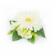 Pinned against a pristine white backdrop, this compact corsage reads as a study in calm: at its centre a flawless white Gerbera daisy unfurls in a perfect circle of smooth, satiny petals, the textured yellow-green eye catching the light like a small sun. Surrounding it, soft Eustoma (Lisianthus) blooms and buds curl with a delicate, ruffled edge in creamy white graduating to pale butter-yellow, their layers suggesting slow motion and quiet unfolding. A petite, layered white chrysanthemum or daisy peeks from the upper right, adding gentle fullness and a delicate contrast of petal shapes. Several slim, pale green Eustoma buds - some tightly closed, some just beginning to reveal their inner petals - create a sense of newness and promise. Broad, deep emerald leaves frame the cluster, their waxy sheen and strong midribs giving the composition a grounded, botanical backbone. On the right, a few tiny white pearl beads are threaded subtly through the foliage, catching a hint of light and lending a discreet, elegant flourish suitable for formal wear. The overall lighting is soft and diffuse, emphasising the velvety textures of the petals and the cool, fresh greens, while the minimalist background keeps attention on the refined palette of whites, creams, and green. As a local florist thinking of Highgate occasions - from a spring wedding near Waterlow Park to an intimate service in the Village - I imagine this piece pinned to a lapel or wrist, offering a tactile whisper of freshness and understated celebration in every detail.