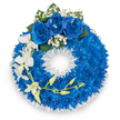 A solemn, circular funeral wreath displayed against a crisp white backdrop, its main body formed from a dense, continuous ring of tightly packed electric royal blue chrysanthemums or similar small-petalled blooms that read like a plush, velvet carpet of colour. At the crown of the circle three large, fully unfurled royal blue roses create a dignified focal point; their velvety petals are softened by feathery clusters of pure white baby's breath (gypsophila) and a few deep green leaves that give the top a quietly traditional finish. From the left side a graceful spray of pristine white orchids - likely Phalaenopsis or Dendrobium - cascades downward, each open blossom showing broad, delicate petals while a slender, curving stem threaded through the orchids bears soft pale yellow-green buds, a gentle suggestion of life unfolding. The wreath's inner edge is finished with a neat, ruffled white satin or silk ribbon that frames the central void with a formal, respectful line. Soft studio lighting brings out the electric sheen of the blues and the porcelain coolness of the whites, and the arrangement exudes a faint, clean floral scent more remembered than present. This composition reads as a carefully considered sympathy tribute, balanced between the intensity of blue - a colour read often as peace and fidelity - and the consolation of white orchids and gypsophila. Made with precise florist craftsmanship and intended for memorial and funeral settings around Highgate, the piece offers both visual dignity and tactile richness, a composed expression of remembrance meant to comfort mourners and honour the departed.