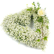 A serene, heart-shaped sympathy wreath woven almost entirely from a cloud of tiny white Baby's Breath (Gypsophila), its dense clusters creating a pillowy, snow-like texture that softens every contour. The compact blossoms read as a field of quiet points of light, their fragile stems coaxing the heart into a seamless, cushiony silhouette. Near the upper right curve a single creamy-white rose sits like a gentle quieting note, its petals still curled in a tidy spiral that suggests both restraint and tenderness. Around that rose, glossy lobed ivy leaves and slim, eucalyptus-like sprigs are threaded through the gypsophila, their cool greens offering a restrained contrast and a hint of aromatic freshness. The greenery trails slightly down the right side of the heart, lending natural movement and depth to an otherwise purely white composition. Soft studio light on a clean white background reveals fine details - the pearlescent sheen on the rose, the feathery clusters of baby's breath, and the waxy surface of the ivy - while the overall impression remains one of calm dignity. As a floral design intended for funerals or memorials, this piece reads as a message of purity, remembrance, and enduring affection; its simplicity comforts without spectacle. Imagine it placed near a service at Highgate Cemetery or left at a quiet bench in Waterlow Park, where the understated palette echoes the hush of trees and the steady rhythm of breath. The arrangement is both a visual embrace and a tactile memory, crafted to honor with grace and unadorned sincerity.