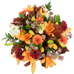 A radiant, close-up overhead of an autumn-inspired bouquet, captured against a clean white background so every warm hue reads clearly. The composition is anchored by large, fully opened orange Asiatic lilies whose trumpet-shaped petals unfold with confident grace, surrounded by numerous bright green and pale orange lily buds that promise more blooms. Scattered through the dense, rounded mass are vibrant Gerbera daisies in pumpkin orange and deep burgundy-red, their sun-like rings of petals circling darker centers and lifting the arrangement with cheerful punctuation. Soft clusters of creamy white Lisianthus with gently ruffled petals offer calming contrast, while airy, star-headed Astrantia in muted purple and lavender weave filigree texture between the bolder shapes. Broad, deeply lobed leaves in reddish-brown and chestnut tones-reminiscent of fallen oak-are artfully placed to echo the season, their lobed edges and subtle veins adding rustic structure. Fresh green foliage and slender stems thread through the bouquet, giving life and balance to the richer shades. The lighting is bright and even, making the petals glow as though warmed by a low autumn sun; the bouquet feels freshly cut, dewy, and full-bodied. As a florist who often sources seasonal stems from markets near Highgate Village and Waterlow Park, I picture this arrangement on a Thanksgiving table or as a housewarming gift to bring warmth into a room. The overall effect is comforting, celebratory, and textured-perfect for anyone wanting the energy of turning leaves and late-year blooms brought indoors with careful craftsmanship and natural charm.