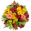 Seen from above against a clean white background, this hand-tied autumn bouquet unfurls in a dense, circular tapestry that celebrates the season. Bright golden-yellow button chrysanthemums form a sunlit halo at the centre, their many tiny petals catching imagined light like a warm morning in late September. Deep burgundy gerbera daisies, with their flat, open faces and dark centers, sit like small evening suns among the yellow, lending a dramatic, grounding contrast. Velvety roses in a mix of crimson and coral-pink soften the composition: some petals fold tightly into rich, velvety spirals, others open wide into peach-tinted cups that hint at summer's memory. Star-shaped alstroemeria in cranberry and reddish-brown weave through the larger blooms, adding delicate veins of colour and a fine, layered texture. Glossy broad leaves and variegated foliage edged in creamy green frame the flowers, their cool sheen balancing the warmth of the petals. Scattered at the edges, small reddish-brown maple-like leaves introduce a rustic, woodland note that anchors the bouquet in autumnal earthiness. The overall scent is understated-faintly sweet with green undertones-like a walk from Highgate Village through Waterlow Park on a crisp afternoon. The arrangement reads as both hearty and refined, equally suited to brighten a neighbour's birthday, to serve as a warm centrepiece for a family autumn dinner, or to act as a thoughtful gift when words feel insufficient. A local florist's careful placement is evident in the balanced rhythm of colour and texture, making this piece feel both handcrafted and naturally abundant for anyone seeking seasonal charm in Highgate.