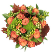 Seen from directly above against a crisp white background, this autumnal bouquet unfurls like a warm, sunlit map of the season. At its heart sit abundant, fully opened roses whose petals graduate from soft peach to coral and deep orange, the outer edges carrying a faint, rusty-red wash that recalls fallen leaves. Interspersed among the roses are compact, mossy-green Green Trick dianthus clusters that read like emerald cushions, adding a velvety, tactile contrast to the roses' satiny surfaces. Small clusters of Hypericum berries punctuate the composition: some chartreuse-lime and glossy, others a pale cream-yellow, their round, bead-like forms catching the eye and softening the palette. Scattered throughout are broad, glossy green leaves that build a lush backdrop, while larger lobed leaves in deep burgundy and russet-reminiscent of oak or maple just turning-give the arrangement depth and an earthy anchor. The piece is densely packed and circular, the blooms and foliage layered so light plays across petals and leaves with gentle highlights and soft shadows, suggesting a mild, woodland fragrance of roses warmed by damp moss. This design is crafted to be both decorative and comforting: a centrepiece for a Thanksgiving table, a seasonal gift to welcome someone home, or a cosy accent for a Highgate sitting room after an autumn walk on Hampstead Heath. The overall effect is generous and intimate, a bouquet that celebrates harvest tones and textures while remaining refined and tactile for anyone who appreciates the quiet warmth of fall.