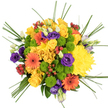 Viewed from above against a spotless white background, this bouquet appears as a circular burst of cheerful colour, much like a sunlit corner of a Highgate garden gathered into one exuberant cluster. At its core, velvety yellow roses and large, plush chrysanthemums nestle closely together, their overlapping petals forming a soft, golden cushion that radiates warmth and positivity. Their tones suggest the bright, open feel of Highgate's hillside views on a clear day. Encircling this heart of yellow, orange gerbera daisies with dark, contrasting centres stand out boldly, each petal neatly spaced to create crisp, daisy-like silhouettes that add modern flair and movement. Between these larger blooms, tight clusters of lime green button chrysanthemums sit like tiny rounded pillows, their compact texture and fresh hue lending a zesty, contemporary note that keeps the bouquet feeling light and playful. Threaded through the sunny shades, deep purple lisianthus blooms and their buds provide a cool counterpoint, adding elegant depth and a velvety softness that evokes evening shadows falling over nearby Waterlow Park. Dotted among the petals, glossy red hypericum berries glint in small, smooth clusters, offering a hint of seasonal richness and a pleasing contrast in shape and finish. Framing the entire design, slender strands of bear grass sweep and curve outwards, creating fine green lines that soften the bouquet's edge and suggest gentle motion. Every element is carefully placed to achieve harmony between exuberance and calm, making this arrangement feel both celebratory and composed. It's the sort of bouquet that would arrive with same-day delivery to a Highgate doorstep, carrying a message of joy, congratulations, or simple heartfelt appreciation in every bright, carefully chosen bloom.