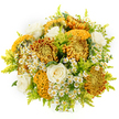 A richly gathered autumn bouquet is shown against a pure white background, its warm, comforting colours calling to mind the turning leaves around Highgate's gardens and squares. At the centre are large chrysanthemums in shades of glowing amber, antique gold, and deep bronze, with countless petals tightly layered into rounded, domed blooms that feel almost cushion-soft to the eye. Threaded among them, more unusual stems curl into cockscomb-style, brain-like forms, their contoured petals in mustard yellow and earthy brown creating striking texture and visual depth. Several creamy white roses nestle between the bolder flowers, opening in smooth spirals from tight buds to open cups, their refined shape and gentle hue adding calm, classic elegance. Speckled throughout the design are clusters of small, white daisy-like flowers with bright yellow centres, likely feverfew, which introduce a light, meadowy charm and a suggestion of wildflower paths, like those you might wander near Highgate Wood. Airy sprays of lime-green solidago and similarly fine foliage weave in and around the blooms, bringing feathery softness and vivid green highlights that brighten the overall palette. The bouquet is styled in a full, rounded shape, with no vase visible, ensuring the viewer's focus remains entirely on the flowers themselves. Set against the clean white background, every petal edge, stem, and leaf stands out in sharp relief. This composition feels perfect for sending warmth, comfort, or congratulations, and would make a beautiful gift for same-day delivery across Highgate, whether to a cosy home near Pond Square or an office overlooking North London's skyline.