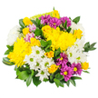 This image shows a bright, uplifting bouquet that seems crafted to bring sunshine indoors, even on a misty Highgate morning. Against a stark white background, the colours appear vivid and clear: at the centre, plump yellow chrysanthemums bloom in full splendour, their dense, multi-layered petals forming soft domes of colour that radiate cheerful warmth. Nestled among them, clusters of yellow spray roses offer a more delicate profile, with buds and partially open flowers that reveal layers of smooth, velvety petals, hinting at a gentle fragrance and adding a touch of classic elegance. Throughout the bouquet, white spray chrysanthemums with neat, daisy-shaped heads and fresh light green centres introduce a crisp, clean brightness, like fresh air drifting through the trees in nearby Highgate Wood. Deep magenta and rich purple chrysanthemums cut through the lighter tones with vibrant energy; their striking petals and yellow centres give the arrangement depth and a lively, almost festive rhythm that draws the eye around the bouquet. Here and there, softer pastel pink or lavender blossoms are tucked in like quiet asides in a joyful conversation, adding subtle nuance without disturbing the main colour story. Wrapping the entire composition is a generous layer of glossy dark green foliage, probably Ruscus or Salal, whose broad leaves create a lush, structured frame and enhance the impression of abundance. The bouquet feels both happy and reassuring, as if ready to be carried along Highgate's sloping streets as a birthday surprise, a bright 'get well soon' gift, or a simple expression of kindness delivered to a neighbour or loved one in this leafy corner of North London.