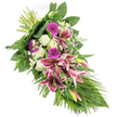 An elegant funeral spray is displayed on a pristine white background, highlighting the interplay of deep pink blooms, soft white petals, and lush greenery. The arrangement runs diagonally from the bound stems at the top left to a gentle cascade of leaves at the bottom right, forming a refined teardrop silhouette. Dominating the centre are several large Stargazer lilies, their wide petals painted in saturated fuchsia and magenta tones, sprinkled with dark burgundy spots and finished with clean white rims. Some lilies are fully open, while others remain as green-tinged buds, creating a feeling of unfolding remembrance. Around them, creamy white roses and plush, ruffled white carnations introduce a calm, soothing contrast, their layered petals suggesting comfort and peace. Bright magenta gerbera daisies appear throughout, their bold, round faces adding cheerful yet respectful notes of colour. Tiny white daisy-like filler flowers thread delicately between the statement blooms, lending fine texture and lightness. A generous array of greenery surrounds and extends the design: broad, glossy dark green leaves support the flowers, feathery ferns add softness, and long, narrow leaves sweep outward to accentuate the cascading line. The composition feels both structured and organic, making it a fitting tribute for a funeral or memorial in Highgate, whether placed in a church near Highgate Hill, a chapel close to Waterlow Park, or a quiet family gathering at home. Crafted with the eye of an experienced florist, this spray conveys sympathy, respect, and enduring love in a gentle, visually soothing way.