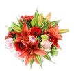 Viewed from a gentle overhead angle against a crisp white backdrop, this lush hand-tied bouquet reads like a warm conversation of colour and texture that would sit perfectly on a Highgate mantelpiece or a café table near Waterlow Park. At its centre several large Asiatic lilies in a bold orange-red take command, their recurved petals and dark speckles catching the light and directing the eye to the prominent stamens and anthers. Deep crimson Gerbera daisies punctuate the composition with radiating petals and intense dark centres, while soft blush-pink roses-some tightly furled, others opening into layered spirals-offer a delicate counterpoint. Small clusters of glossy red hypericum berries tuck into the foliage like polished beads providing jewel-like highlights and a playful, tactile contrast to the silky blooms. A generous mix of greenery, from broad solid leaves to slender, pointed lily foliage and a few variegated sprigs with pale green-and-white streaks, frames and supports the florals, giving the bouquet a full, rounded silhouette and a sense of careful, professional construction. The textures are tactile in the imagination: satiny rose petals, papery lily skins, waxy berries, and crisp leaves; the scent reads as a soft, sweet perfume with a faint spicy lift from the lilies-imagine this arranged for a birthday, anniversary, or as a bright, thoughtful welcome to a Highgate home. The overall impression is warm, celebratory, and expertly balanced, a floral statement that both fills a room and offers close-up intimacy when held, carried, or placed on a sideboard near the Village green.