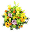 Presented against a crisp white background, this lush, mounded bouquet reads like a sunlit corner of a Highgate garden come indoors. Bright yellow Asiatic lilies reach upward, some fully unfurled to reveal speckled throats and delicate stamens, while others remain elongated chartreuse buds that promise more bloom. Interwoven around them are soft lavender-purple roses, their spiralled petals offering a cool, romantic counterpoint to the warmer hues. Large orange Gerbera daisies punctuate the composition with bold, flat faces and darker central discs, their cheerful shapes lifting the eye. The arrangement's body is filled with ruffled lime-green cushion chrysanthemums, creating mossy, tactile clumps that add volume and a plush, almost evergreen texture. Scattered throughout are small, spiky globe accents in vibrant orange and golden yellow, their playful, almost pincushion form adding lively punctuation. Several blue-grey sea thistles (Eryngium) push out from the lower edges, their architectural, spiky bracts introducing a crisp, cool contrast to the warm palette. A variety of glossy and matte green foliage - from broad lily leaves to smaller serrated fillers - frames the flowers, deepening the colour and lending a natural, garden-fresh backdrop. Soft morning light seems to settle across the petals, suggesting the scent of lilies mingling with faint rose perfume. The overall effect is celebratory and comforting at once: an arrangement that could mark a birthday beside Hampstead Heath, brighten a table near Highgate Cemetery, or serve as a thoughtful display for a gathering in Highgate Village. It reads as expertly composed, richly textured, and ready to convey warmth, joy, or gentle remembrance.