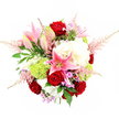In this top-down, slightly angled studio photograph, a lush, rounded bouquet fills the frame, its vivid colours and intricate textures heightened by a bright white background reminiscent of a Highgate florist's design bench. At the visual centre, several deep red roses provide a rich, romantic anchor, their velvety petals spiralling inward and beginning to unfurl, each bloom at an ideal stage of openness. Nestled among them, pink stargazer lilies make a dramatic statement, some wide open with star-shaped petals that shift from pale blush at the tips to vibrant, speckled pink near the throat, others still in elongated buds, softly blushed and wrapped in green. Tall stamens with rust-coloured pollen extend from the open lilies, adding a sculptural touch. Surrounding these focal flowers, billowing clusters of creamy white hydrangeas fill the arrangement, their many small, ruffled florets forming a cloud-like foundation that brings both softness and volume. Bright lime-green Green Trick dianthus or pom-pom chrysanthemums punctuate the whites, their dense, thread-fine petals forming small, mossy spheres that offer a contemporary textural contrast. Delicate plumes of blush pink astilbe lift lightly from the edges, creating a feathery, airy outline that lends a feeling of movement, like a gentle breeze along Highgate Hill. Interspersed within are subtle hints of lavender and fuchsia filler flowers, adding depth and quiet complexity to the palette. Lush greenery, including dark, glossy rose leaves and fine, ferny foliage, cradles the flowers, providing structure and a deep green backdrop that makes the blooms appear even more vibrant. The bouquet conveys a sense of joy, romance, and celebration, ideal for marking life's special moments in homes and venues across Highgate, Crouch End, and the surrounding north London neighbourhoods.
