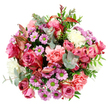 Viewed from directly overhead, this bouquet forms a neat, rounded dome of blossoms against a pure white background, its gentle swirl of colour evoking the calm elegance of Highgate's tree-lined streets. At its centre, several large roses are fully open, their petals layered in rich fuchsia and soft blush pink, with some edges fading into a creamy hue that adds depth and romance. Surrounding these roses, peach-pink carnations create a generous collar, their finely ruffled petals packed tightly together, giving the arrangement a soft, almost cushion-like texture. Threaded throughout the design, clusters of small, daisy-like chrysanthemums in pale lavender and mauve bring a cheerful energy, their vivid lime-green centres glowing brightly against the softer shades. Cream and off-white blooms nestle in between, offering a cool counterpoint that keeps the colour harmony balanced and light. The flowers are wrapped in a ring of foliage: round, silvery-green eucalyptus leaves curve outward, adding a modern, airy feel and suggesting a subtle, refreshing fragrance, while deeper green leaves provide structure and contrast. Slender, reddish-pink striped leaves weave through the greenery, hinting at the changing tones you might notice in nearby Highgate Wood as seasons shift. The overall effect is lush yet refined, with every stem placed thoughtfully so the bouquet appears abundant without feeling crowded. Soft, diffused lighting highlights the textures and natural sheen of each petal and leaf, giving the impression of freshly prepared flowers ready for delivery. This arrangement would be a beautiful way to send warmth to someone in N6, whether for a birthday, a quiet celebration, or simply to bring a touch of floral joy into a Highgate home.