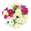 The image shows a dome-shaped bouquet from an overhead angle, presenting a carefully composed mix of cream-white roses, white chrysanthemums, and vibrant magenta spray chrysanthemums, all against a smooth, white background. The creamy roses serve as calm focal points: several well-formed blooms are scattered evenly throughout the design, each rose displaying a classic spiral of velvety petals that gives a sense of depth and refinement. Around and between them, white daisy-like chrysanthemums create a dense matrix of narrow, radiating petals, with bright yellow-green centres that lend a hint of freshness and keep the whites from feeling flat. Interspersed through this soft, neutral base, clusters of smaller spray chrysanthemums in bold fuchsia and magenta shades inject lively colour; some are fully open with slightly ruffled petals, while others appear as tight, rounded buds, adding visual interest and suggesting the bouquet will continue to evolve over time. Tucked discreetly beneath the flowers, a few dark green leaves peek out, providing subtle contrast and reinforcing the sense of natural growth rather than formality. The bouquet is lit with even, clear light, almost like natural daylight streaming into a Highgate sitting room, ensuring that each petal and tone is visible without harsh shadows. No vase, ribbon, or wrapping appears in the shot, so the viewer's focus stays entirely on the floral canopy itself, as though the bouquet has just been set down on a table ready to be delivered around Highgate or towards the edges of Hampstead Heath. The overall feeling is one of gentle celebration and everyday luxury, perfect for brightening a mantelpiece, coffee table, or bedside in this leafy North London area.