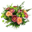 A striking hand-tied bouquet is captured in sharp detail against a spotless white background, highlighting its rich mix of colour and texture. At its core, large roses in shades of peach and warm apricot bloom fully, each petal curling gently outward to form soft, rounded blossoms that suggest comfort and romance. Surrounding them, velvety Gerbera daisies in burgundy and deep rose stand tall, their flat faces and vivid yellow-orange centres bringing a playful brightness and modern flair. Just above, an eye-catching protea acts as an anchor for the design; its upright, cone-like shape and layered maroon and reddish-brown bracts offer a distinctive, tactile presence that feels both wild and refined. Threaded through the spaces are numerous domes of lime-green button chrysanthemums, each tiny sphere packed with petals, creating a lively, mossy texture that refreshes the bouquet's overall look. Encasing the flowers, a cascade of lush greenery spreads outward, with glossy leaves, fine grasses, and airy sprigs of eucalyptus arching gently, contributing depth, movement, and a cooling, forest-like impression. The stems are gathered in a tidy bundle at the bottom, revealing a skilled hand-tied construction typical of an experienced Highgate florist preparing arrangements for homes and boutiques along Highgate High Street and nearby Muswell Hill. The even, bright lighting emphasises every colour transition, from the soft blush of the roses to the vivid chartreuse of the pompons, without casting strong shadows. The bouquet feels both joyful and composed, ideal for birthdays, anniversaries, or as a welcoming centrepiece in a Highgate living room filled with natural light.
