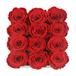 From an aerial perspective, twelve exquisite red roses dominate the frame, aligned in a flawless 3x4 grid that creates an almost hypnotic pattern of spiralled blooms. Each rose is at the same stage of perfect openness, the velvety petals unfolding in tight, concentric layers that seem to ripple outward from the centre. The red is intense and romantic, a deep ruby shade that holds steady across all the flowers, with light softly catching the rims of the petals and leaving the inner swirls in gentle shadow. The blooms are nestled side by side within a sleek, dark presentation box, the edge of which just peeks into view along the bottom, reflecting a faint glint that adds to the sense of luxury. There are no stems or foliage visible, only the dense, plush surface of the roses themselves, giving the arrangement a bold, contemporary feel while still honouring classic romance. It's easy to imagine this box being delivered to a home in Highgate, perhaps overlooking the rolling greenery near Parliament Hill, as a carefully considered gesture for an anniversary or a deeply felt declaration of love. The tight grouping of the roses suggests continuity and unity, while the flawless condition of each bloom hints at preserved or eternity roses chosen to last. The image captures a mood of sophisticated intimacy, perfect for moments when someone wishes to say everything with flowers alone, trusting in the quiet power of twelve impeccable red roses arranged with unwavering precision.