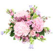 The image features a sumptuous bouquet of pastel flowers set against a bright white background, creating a clean, modern frame for the soft blooms. At its core are multiple large heads of pale pink hydrangea, densely packed with tiny petals that form rounded mounds reminiscent of fluffy clouds, giving the design its generous, full appearance. Threaded among these hydrangeas are blush pink roses, some still held in tight, elegant buds and others open into layered spirals that reveal their velvety texture and romantic character. Weaving through the arrangement are little clusters of deep magenta waxflower or similar small, star-shaped blossoms, their fine stems and vivid colour adding lively contrast and intricate detail. Scattered five-petal pink flowers gently bridge the spaces between the larger heads, ensuring the bouquet looks lush and cohesive from every side. At the outer edges, a few slender stems rise up, bearing bell-shaped campanula in soft lavender or periwinkle blue; these gently nodding bells introduce a cool accent and create a sense of light movement. Fresh green hydrangea leaves and slimmer leafy stems peek through the blooms, grounding the pastel palette in natural greenery and enhancing the impression of freshness. Altogether, the bouquet feels like a captured moment of spring in Highgate, as if picked from a garden overlooking Highgate Cemetery or near Waterlow Park. It would make a fitting gift for new parents, anniversaries, or simply to brighten a home, and could easily be imagined arriving via same-day delivery from Flowers Highgate to doorsteps across the N6 neighbourhood.