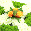 A meticulously arranged floral cross fills the frame, offering a tranquil and symbolic tribute that would feel at home in Highgate's reflective, tree-lined setting. The main surface of the cross is composed of tightly massed white chrysanthemums, each bloom pressed close to the next to form a thick, cushioned layer of petals. The collective effect is one of softness and purity, like a quilt of white blossoms. Running around the perimeter of the cross is a neat, continuous border of lime-green button chrysanthemums. Their firm, rounded centres and slightly domed shapes provide a lively, tactile contrast to the looser white petals, and the bright green hue gives the outline a crisp, modern definition, echoing the fresh greens of Waterlow Park in spring. At the central junction of the cross, three roses introduce warmth and emotion. Their petals are richly coloured, blending deep burnt orange tones at the heart into lighter, golden apricot shades at the edges, so they glow gently against the surrounding white. These roses are framed by small tufts of vivid green foliage and tiny berry-like clusters, with longer fern fronds unfurling behind, giving the composition depth and a touch of natural wildness. The lighting is soft and even, picking out each flower head without creating harsh contrasts. Overall, the design suggests an Irish-inspired tribute, thoughtful and serene, perfect for a funeral, memorial, or celebration of life in Highgate. It speaks of remembrance, heritage, and gentle comfort, the kind of carefully prepared arrangement a family might choose when words feel insufficient and flowers are asked to express love and farewell.