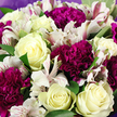This richly detailed image captures a hand-tied bouquet in full, close-up glory, as if it has just been placed on a polished table in a Highgate living room flooded with soft daylight. The arrangement is dominated by creamy white roses whose petals form smooth, spiralling layers, some blooms just beginning to open while others are fully unfurled, revealing a gentle hint of pale yellow in the very center. Their texture looks almost like satin, conveying a sense of calm and classic romance. Interspersed between these roses are generous clusters of deep magenta and purple carnations, their tightly frilled petals creating dense, rounded blooms that add plush volume and visual weight. These carnations bring a bold, jewel-like intensity to the palette, balancing the softness of the roses. Threaded through the bouquet are white alstroemeria, or Peruvian lilies, each with slender, flaring petals intricately streaked and speckled with raspberry and burgundy tones, as if painted with a fine brush. This patterning gives the arrangement a slightly untamed, garden-inspired energy, reminiscent of flowers that might have been gathered near Waterlow Park. The blooms are supported and framed by medium-green foliage, the smooth, broad leaves slipping between flowers to create gentle pockets of shade and to highlight each blossom individually. Around the edges of the frame, a faint glimpse of muted lavender wrapping appears, its soft colour beautifully complementing the deeper purples and tying the entire composition together as a ready-to-gift bouquet. The lighting is soft and even, enhancing the colours without overpowering them. This bouquet feels like a caring embrace in floral form, suited to birthdays, thank-you gestures, or comforting same-day deliveries around Highgate and its leafy surrounding streets.