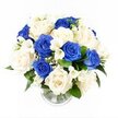 A rounded, luxuriously full bouquet of blue and white flowers rises from a clear glass vase, carefully photographed from above eye level against a crisp white background, as though it were resting on a serene table in a Highgate home. The arrangement is tightly composed, forming a domed silhouette filled almost entirely with open-faced roses and delicate companion blooms. Deep royal blue roses appear throughout the bouquet, their velvety petals rich and intense, creating striking focal points that hint at depth of feeling and quiet strength, not unlike the stillness of Highgate Cemetery's historic pathways. Softening these bold accents are creamy white and ivory roses, their petals unfolding in gentle spirals that suggest purity, peace, and heartfelt remembrance. Interlaced among the roses, slender stems of white freesia carry small, trumpet-shaped blossoms that trail and curve, lending light movement and a finely textured contrast, as if a soft breeze were drifting through nearby Highgate Wood. Tiny clusters of white gypsophila nestle in the smallest gaps, forming a cloud-like haze that enhances the bouquet's lush appearance. Around the base, dark green foliage peeks out, framing the flowers with fresh, natural tones and anchoring the design. The cylindrical glass vase clearly shows the neatly gathered stems and fresh water, with a subtle ribbed detail at the bottom catching glimmers of light. Overall, this blue and white sympathy bouquet exudes calm, composure, and sincere compassion, making it a thoughtful choice for expressing condolences, supporting grieving families, and honouring special memories in the Highgate community.