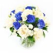 In this photograph, a rounded sympathy bouquet of royal blue and creamy ivory roses is arranged in a plain clear glass vase and set against a pristine white studio backdrop. The composition is uncluttered yet full, with the roses placed so that blue and cream tones interweave evenly across the design. The blue roses, with their velvety, saturated petals, provide depth and a sense of quiet formality, while the ivory roses soften the effect, their gently opening blooms evoking solace and affection. Interspersed among the roses, white freesia stems curve gracefully, some carrying tight buds and others displaying open, trumpet-shaped flowers that give the arrangement a light, gently perfumed presence. Wisps of white baby's breath thread through the bouquet, their clusters of tiny blossoms adding a soft, misty layer and easing the transitions between the larger flowers. Surrounding greenery in a rich dark green frames the roses, giving structure and a natural rhythm to the whole. Through the glass vase, neatly trimmed stems are clearly visible in clean water, reinforcing the impression of freshness and professional care. The overall mood is one of serenity and thoughtful respect, a style of floral tribute that feels entirely at home in Highgate, whether placed on a mantelpiece in a period home near Pond Square or delivered to a family gathered in quiet remembrance, offering a gentle, enduring symbol of support.
