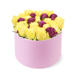 Soft morning light bathes a luxurious bouquet arranged in a round light pink gift box with a suede-like matte finish. The box, positioned in the lower half of the frame, cradles a dense dome of 30 to 40 roses. The majority are bright sunny yellows, their petals tightly furled, catching the light with a fresh, dewy glow that speaks of new beginnings and warm celebrations. Interwoven among the yellows are deep purple or burgundy roses, their velvety petals providing elegant contrast and depth to the composition. The blooms are packed so generously that the dome slightly overflows the box's rim, a quiet signal of abundance and thoughtful craft. A crisp white backdrop makes the colours sing, while the pale pink box and its soft texture convey luxury and care. This arrangement feels tailor-made for luxury flower delivery in Highgate, perfect for birthdays, anniversaries, or a heartfelt surprise for a friend. It would suit doorstep deliveries along Highgate Village, Hampstead Heath's southern approach, or quiet streets near Waterlow Park, bringing warmth and sunshine to the day. Created with the steady confidence of Flowers Highgate, this bouquet expresses friendship, celebration, and affection in a single, sparkling gesture. The arrangement is the kind you would place on a dining table during a weekend lunch in Highgate Village, catching the soft glow of daylight through a sash window. In person, the box feels like velvet, and the roses exhale a gentle fragrance that mingles fresh citrus with hints of meadow, creating an atmosphere of quiet celebration.