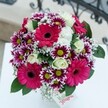 There is undeniable cheer and sophistication in this Highgate bouquet, artfully assembled to embody the neighbourhood's modern elegance. Hot pink gerbera daisies-with their brilliant, smiling faces-compose the heart of the design, while lively magenta-and-white chrysanthemums create a sense of movement and surprise with every glance. Subtle creamy roses weave through, their petals swirling in perfect contrast to the forceful lines of the gerberas and the electric pops of chrysanthemum green. Misty baby's breath floats above, giving the impression of soft lace or gentle clouds drifting over the arrangement. The generous layer of deep emerald foliage beneath reflects the leafy charm of Highgate streets. Displayed on a radiant white surface, the entire bouquet basks in natural light, with the blur of intricate ironwork in the distance offering a quiet signature of local homes. Equally perfect for a celebratory birthday, elegant dinner, or spontaneous thank you, this bouquet captures the warmth, artistry, and unique spirit of Highgate through both colour and craft, sure to brighten homes and hearts throughout the local community.