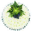 The photograph shows a circular funeral cushion presented on a clean white background, the image taken from above so that the design reads like a calm, floral mandala. The entire round surface, apart from one featured cluster, is covered with small white chrysanthemum heads, each bloom pressed closely against the next. Their many layered petals create a dense, velvety texture reminiscent of freshly fallen snow, while the subtle green in their centres adds a gentle hint of colour and warmth. A deep emerald satin ribbon runs around the outer edge, carefully pleated into soft scallops, providing a neat, decorative frame that glints slightly in the light. Near the top of the cushion, a focal arrangement of flowers and foliage introduces a vibrant contrast. At its core sits a lime-green spider chrysanthemum, its slender, curling petals bursting outward in a starburst of colour. Clusters of glossy green Hypericum berries nestle nearby, their small, spherical forms adding a tactile, berry-like accent. Fern fronds extend outwards, fine and airy, mingling with other dark green leaves to create depth and evoke the leafy calm of Highgate's gardens and parks. Tucked within this greenery are two distinctive Scottish thistles, their spiky, globe-shaped heads shaded in dusty blue-violet, giving the tribute a strong focal symbol that often resonates with families in Highgate, Hampstead, and surrounding areas. The overall mood conveyed is one of quiet dignity and thoughtful remembrance, making this floral cushion fitting for funerals or memorials where a clean, elegant, and slightly personalised expression of sympathy is desired.
