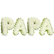 A tender, dignified tribute spells the name PAPA in bold uppercase letters, each character hand-formed from dense clusters of small, pristine white chrysanthemums. The blooms are packed close to create a soft, slightly domed surface across every letter, their ruffled petals catching a cool, powdery scent that seems to hush the space around them. A delicate pale green ribbon, folded and gently pleated, traces the outer edges of each letter, providing a fresh, calming contrast to the pure white and sharpening the silhouette against the clear white background. Subtle threads of light green foliage peek through the floral mass at the joins and curves, adding depth and a natural, living texture that keeps the composition from feeling flat. The overall effect is one of quiet precision and compassion - the work of a practiced hand arranging a personalised memorial for a father or grandfather. Viewed as a sympathy tribute or funeral piece, this arrangement reads as both intimate and formal: familiar in the close spelling PAPA, and solemn in its restrained palette of white and green. Soft lighting emphasizes the gentle domes of the chrysanthemums and the smooth sheen of the ribbon, suggesting a morning chapel or wake where relatives gather to remember. For families in Highgate and neighbouring Hampstead or Muswell Hill, this style of lettering is often chosen for services at Highgate Cemetery or small, private remembrance gatherings, offering a clear, respectful message of love and loss. The composition honours a beloved paternal figure with purity, reverence, and the understated craftsmanship of local floristry.