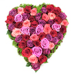 Viewed from above, this is a dense heart-shaped tribute composed almost entirely of freshly cut roses, a tactile mosaic of velvety petals in a rich spectrum that moves from deep burgundy and classic scarlet through coral-tinted blushes to vivid fuchsia and soft lavender. Each bloom is open and at its peak, petals layered like silk, their centers gently furled and catching a soft, diffuse light that suggests morning studio illumination. The roses are packed so closely that the heart reads as a continuous, textured surface; no gaps interrupt the silhouette, only the subtle rhythm of petals and shadow. Around the perimeter, a thin cushion of fine dark-green foliage-delicate, springy and slightly glossy-frames the shape, its grassy texture offering a quiet contrast that enhances the warmth of the reds and the cool hush of the purples. The arrangement exudes a faint, classic rose scent that seems to hover above the composition, an olfactory whisper of devotion and memory. The craftsmanship is meticulous: each stem positioned to preserve the heart's symmetry and to allow each colour to flow into the next, creating a painterly gradient that feels both passionate and consoling. This piece reads as an intimate, versatile floral statement-equally suited to a romantic offering for Valentine's or an anniversary, a tender Mother's Day gift, or a dignified memorial placed on a loved one's resting place-its presence meant to comfort as much as to celebrate. As a local Highgate florist might note, the design holds a comforting stillness reminiscent of strolls past Highgate Cemetery and the quiet corners of Waterlow Park, places where memory and beauty meet.