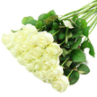 An elegant sweep of white roses is laid out diagonally on a gleaming white surface, evoking the careful attention a Highgate florist gives when styling a bouquet before it leaves the shop. The roses gather densely at the lower left, where around two dozen blooms create a billowing cluster of petals. Their colour is a gentle, creamy white with subtle ivory highlights, and most flowers are captured just as they begin to open-centres still nicely furled while outer petals start to loosen and curl outward. A slight wash of pale green appears at the base of some outer petals, a natural sign of freshness that hints at stems recently trimmed and conditioned.   

From this abundant cluster of blooms, a splay of long, strong stems extends towards the upper right corner of the photograph. The stems are a deep, natural green and support generous sprays of foliage. The leaves are dark green, glossy, and full, with occasional reddish tones along the edges or undersides that introduce quiet variation. A few small thorns are visible on the stems, subtle reminders of the roses' natural origins and the careful handling required when tying such a bouquet for delivery to an address near Highgate Village or across to the slopes around Parliament Hill. The foliage spreads outward enough to add shape and structure without overpowering the soft whiteness of the flowers.   

Bright, balanced lighting fills the frame, eliminating harsh shadows and highlighting the velvety surface of each petal and the intricate veining in every leaf. The pure white background lends a contemporary, almost gallery-like feel, focusing attention solely on the roses. The overall mood is serene and contemplative, suitable for illustrating wedding flowers, sympathy tributes sent to families near Waterlow Park, or timeless anniversary gifts chosen for their understated beauty. The bouquet appears full of quiet emotion-purity, peace, remembrance, and enduring love-expressed through a simple yet luxurious combination of white blooms and deep green foliage.